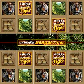 Untamed Bengal Tiger