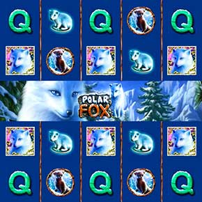 Polar Fox